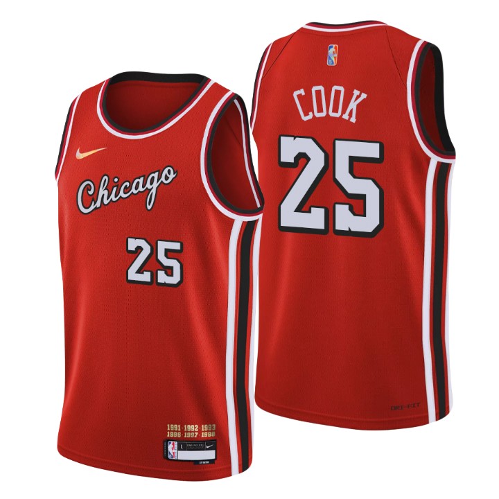 Chicago Bulls #25 Tyler Cook Men's Nike Red 2021/22 Swingman NBA Jersey - City Edition