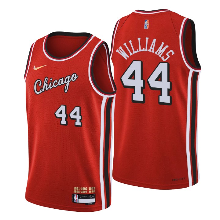 Chicago Bulls #44 Patrick Williams Men's Nike Red 2021/22 Swingman NBA Jersey - City Edition