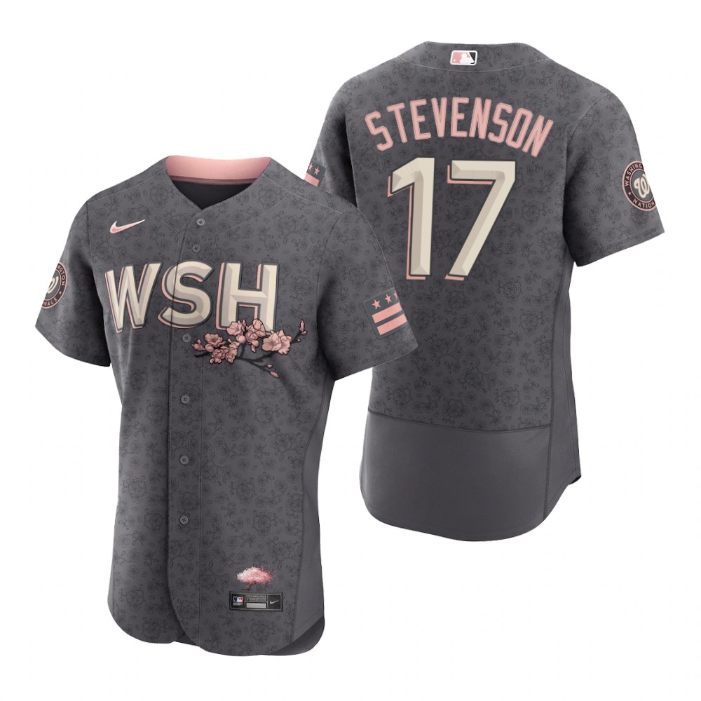 Washington Nationals #17 Andrew Stevenson Men's Nike Authentic Gray 2022 City Connect Jersey