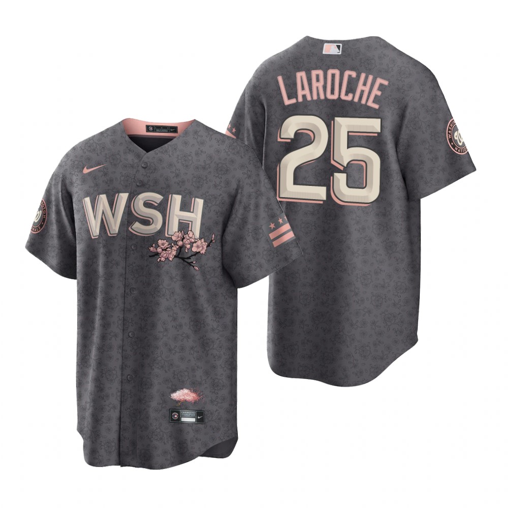 Washington Nationals #25 Adam LaRoche Men's Nike Gray Game 2022 City Connect Replica Jersey