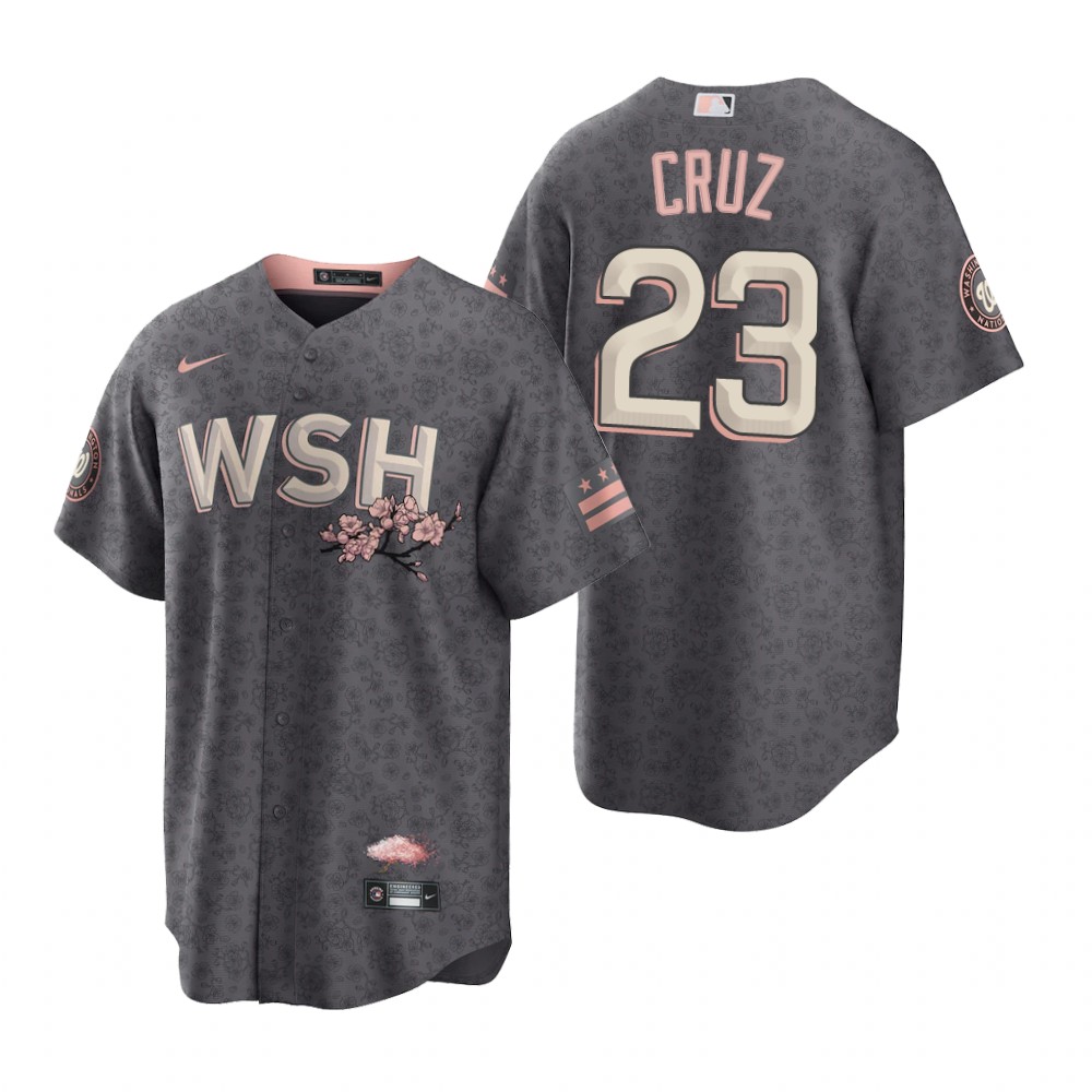 Washington Nationals #23 Nelson Cruz Men's Nike Gray Game 2022 City Connect Replica Jersey