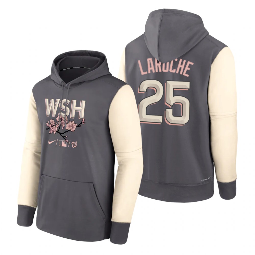 Washington Nationals #25 Adam LaRoche 2022 City Connect Gray Hoodie