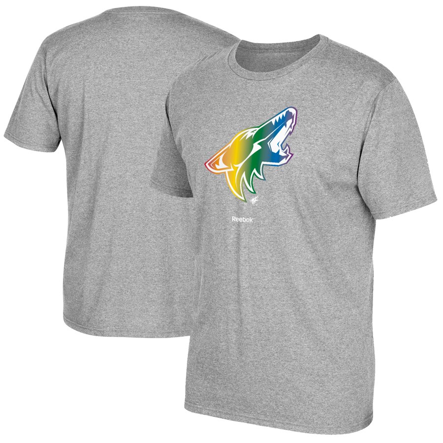 Arizona Coyotes Reebok Rainbow Pride T-Shirt Gray