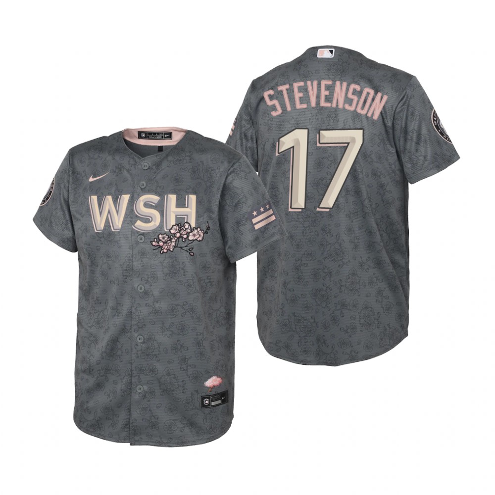 Washington Nationals #17 Andrew Stevenson Youth Nike Gray 2022 City Connect Replica Jersey