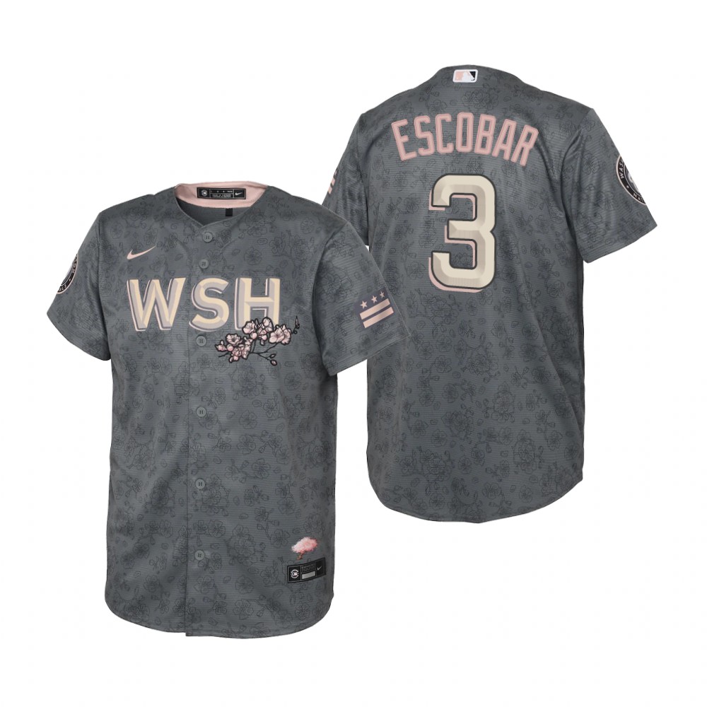 Washington Nationals #3 Alcides Escobar Youth Nike Gray 2022 City Connect Replica Jersey