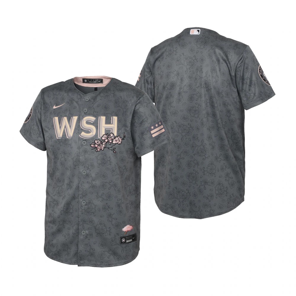 Washington Nationals Blank Youth Nike Gray 2022 City Connect Replica Jersey