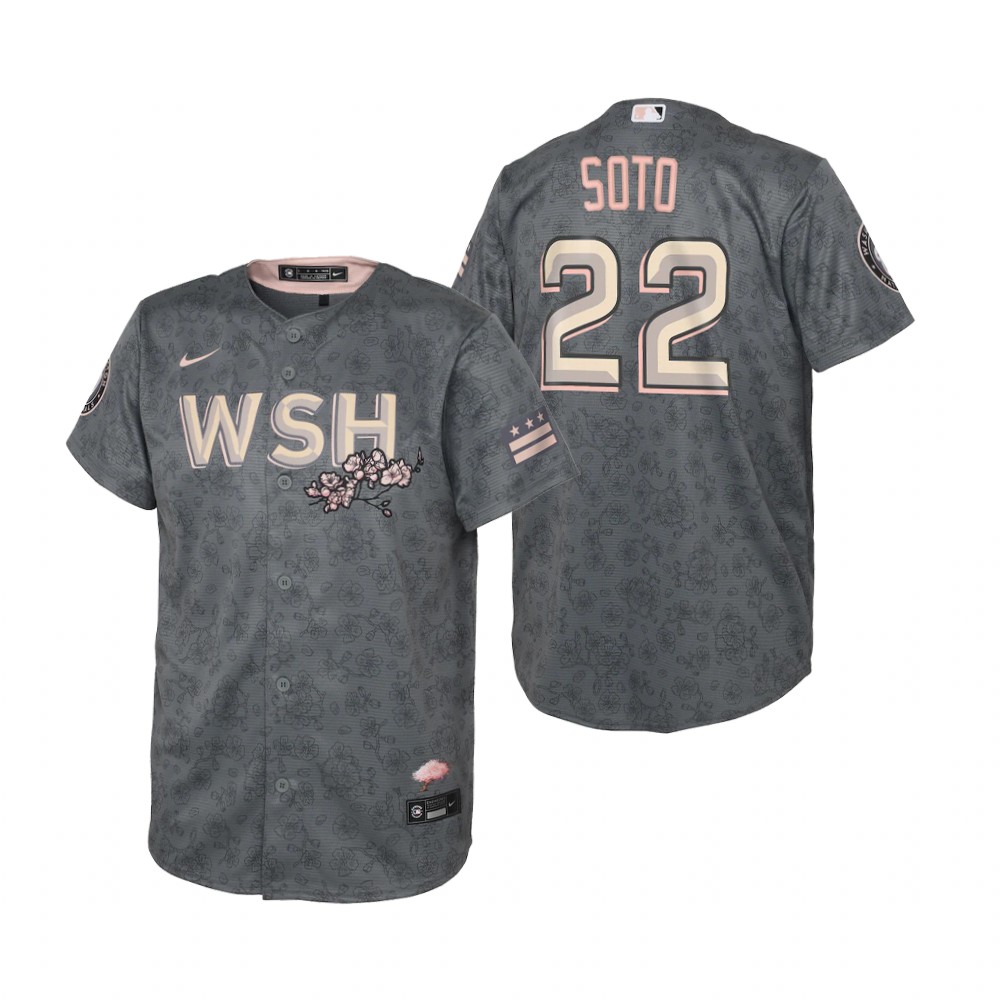 Washington Nationals #22 Juan Soto Youth Nike Gray 2022 City Connect Replica Jersey